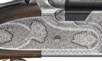 687eelldiamondpigeon_zoom008-1.jpg